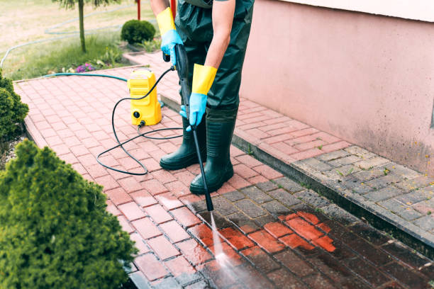 Roof Power Washing Services in Bloomington, IL